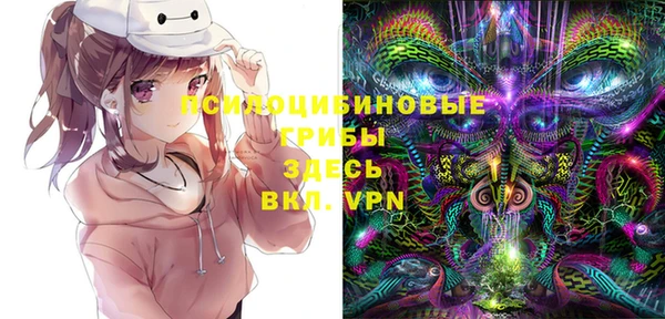 mdpv Горнозаводск