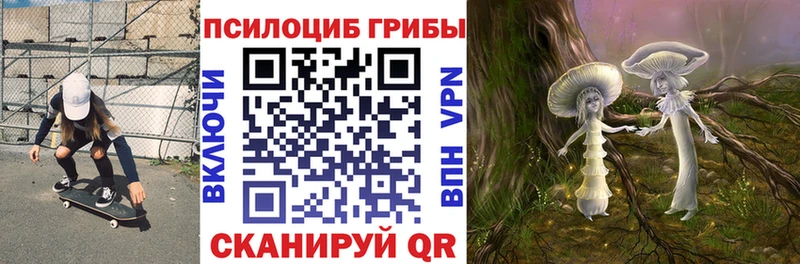 Галлюциногенные грибы Magic Shrooms  Купить закладки  Талица 